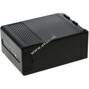 Akku fr Profi-Videokamera Canon EOS C200 / EOS C300 Mark II / Typ BP-A60 mit USB- & D-TAP Anschluss