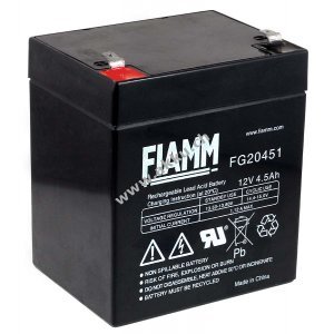 FIAMM Blei-Akku, Ersatzakku kompatibel mit COMPAQ R5500XR HPC-R5500XR AGM Notstrom UPS