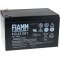 FIAMM Bleiakku FG21202 Vds