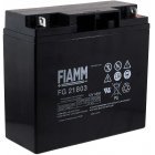 FIAMM Ersatzakku für USV APC Smart-UPS 2200 FIAMM Ersatzakku für USV APC Smart-UPS 2200