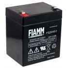 FIAMM Blei-Akku, Ersatzakku kompatibel mit COMPAQ R5500XR HPC-R5500XR AGM Notstrom UPS