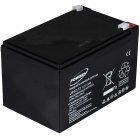 Powery Blei-Gel Akku 12Ah 12V Powery Blei-Gel Akku 12Ah 12V
