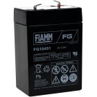 FIAMM Bleiakku FG10451