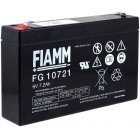 FIAMM Bleiakku FG10721