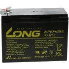 KungLong Bleiakku WP10-12SE 12 Volt 10Ah zyklenfest