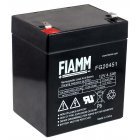 FIAMM Bleiakku FG20451