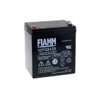 FIAMM Bleiakku FGH20502 12FGH23 (hochstromfest) FIAMM Bleiakku FGH20502 12FGH23 (hochstromfest)