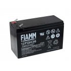 FIAMM Bleiakku FGH20902 12FGH36 (hochstromfest) FIAMM Bleiakku FGH20902 12FGH36 (hochstromfest)