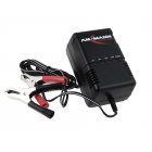 Ladegerät ANSMANN für Autobatterie Roller Motorrad-Batterie Blei-Akku 2V-24V Ladegerät ANSMANN für Autobatterie Roller Motorrad-Batterie Blei-Akku 2V-24V