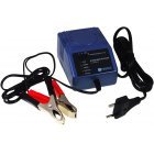 H-Tronic Ladegerät AL 600 plus für alle 2V, 6V & 12V Bleiakkus (Säure, Gel, AGM) H-Tronic Ladegerät AL 600 plus für alle 2V, 6V & 12V Bleiakkus (Säure, Gel, AGM)